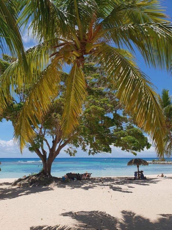 Ti.Maanga Vue Mer Pieds Dans L'Eau Saint-Francois  Eksteriør billede