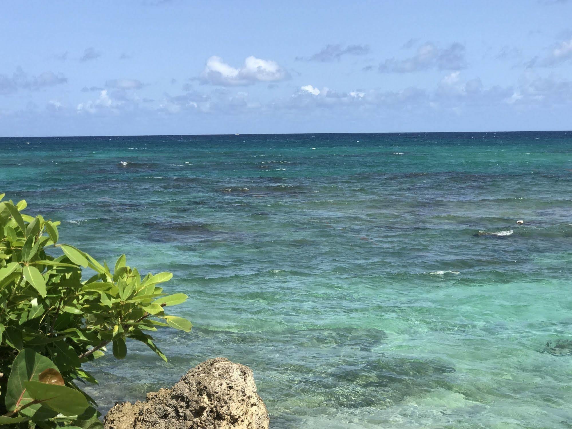 Ti.Maanga Vue Mer Pieds Dans L'Eau Saint-Francois  Eksteriør billede