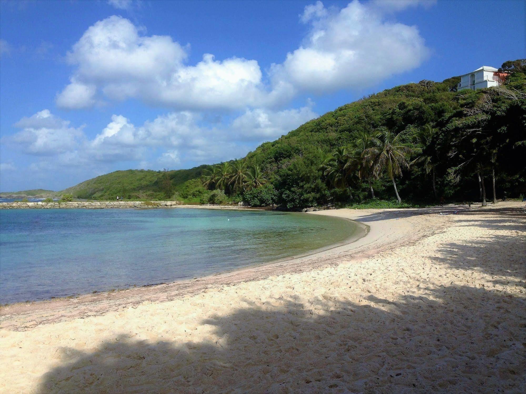 Ti.Maanga Vue Mer Pieds Dans L'Eau Saint-Francois  Eksteriør billede