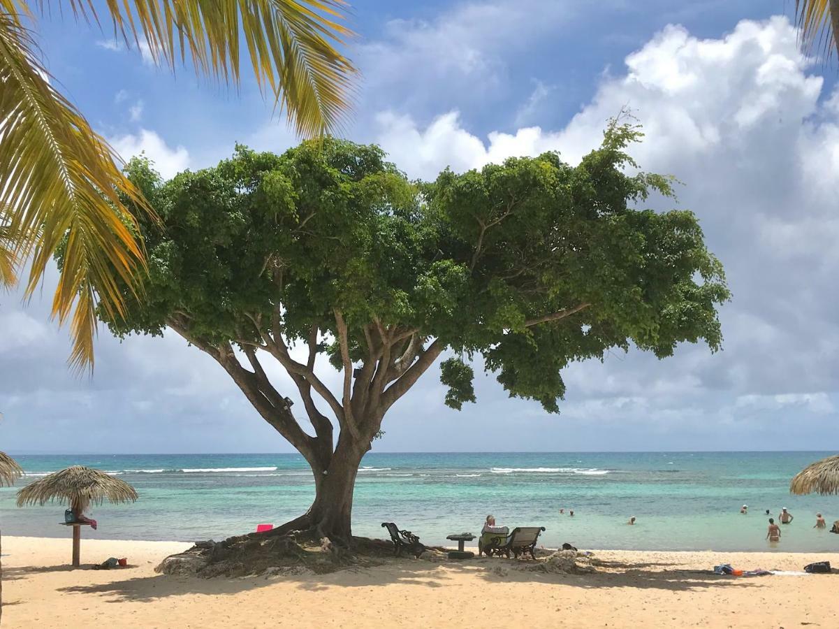 Ti.Maanga Vue Mer Pieds Dans L'Eau Saint-Francois  Eksteriør billede